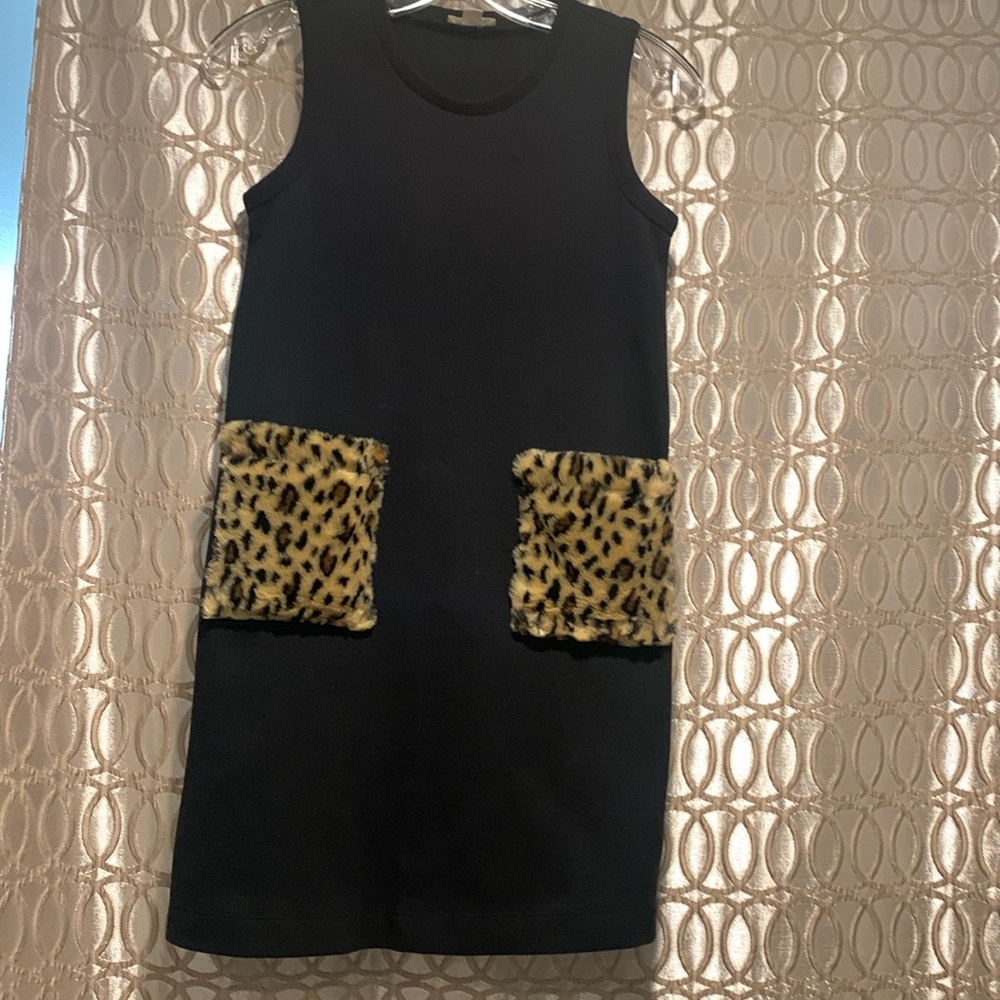 Girl’s Crewcuts dress